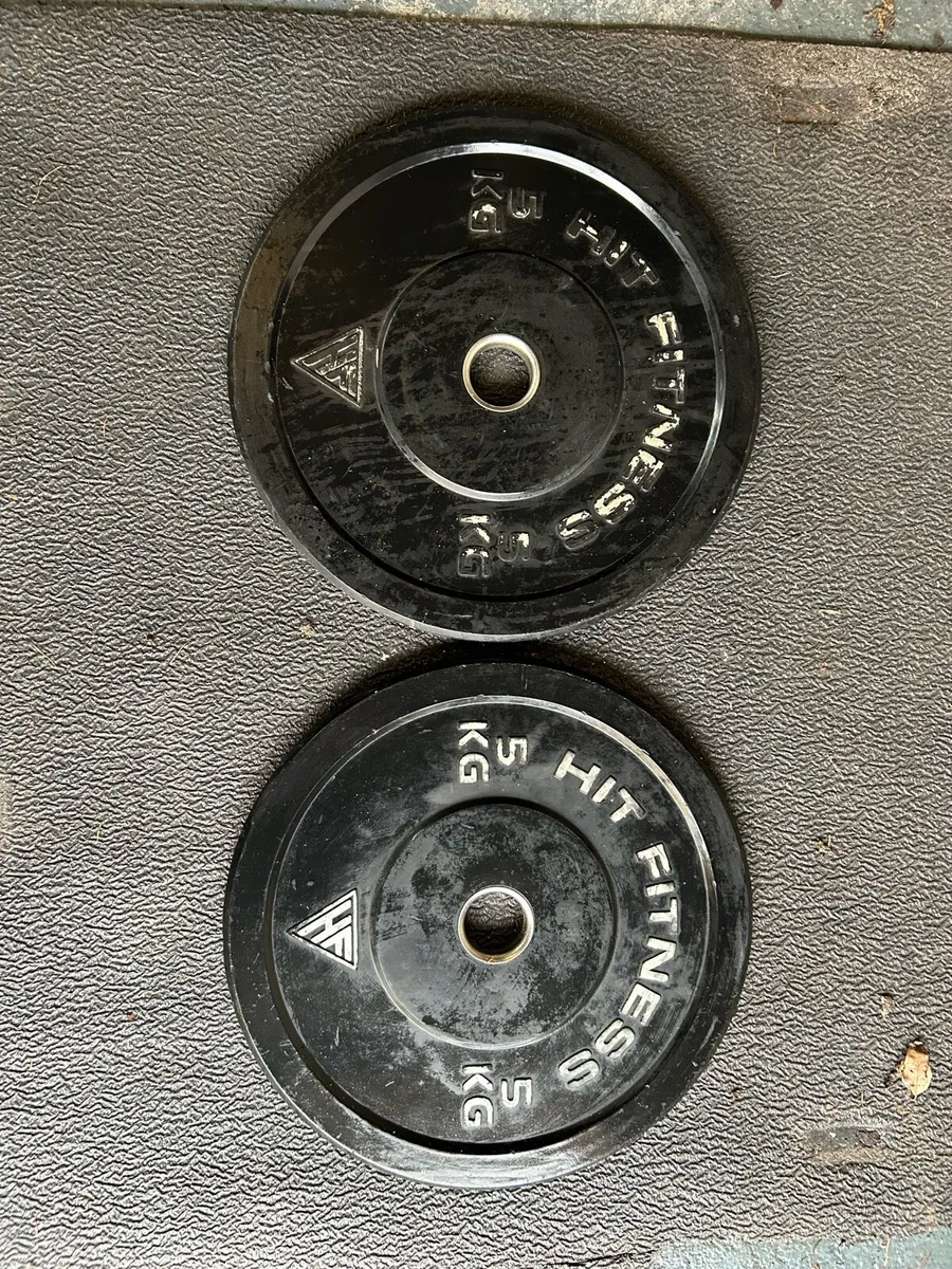 Bumper Weight Plates - Image 3