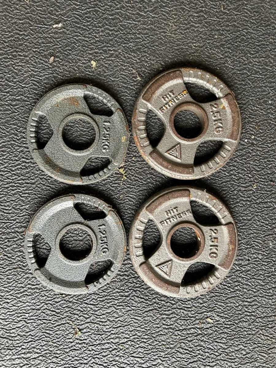 Bumper Weight Plates- Multiple weights - Image 4