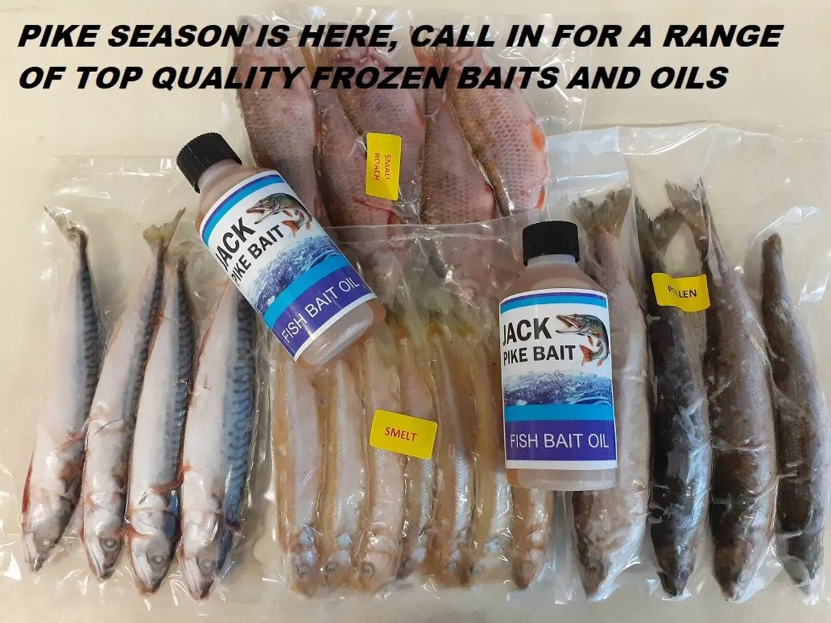 Quality Frozen Bait, Pike Fishing - Image 1