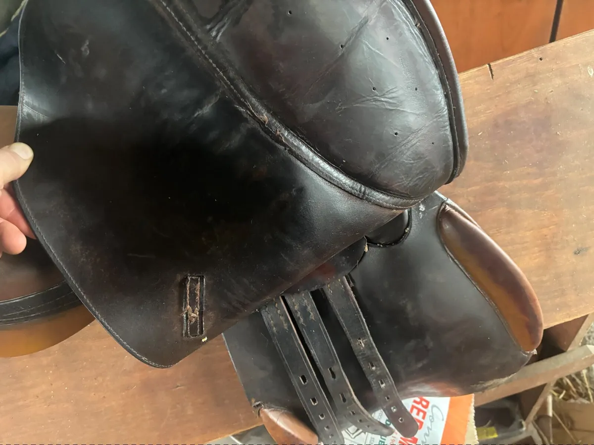 Saddle Close Contact - Image 3