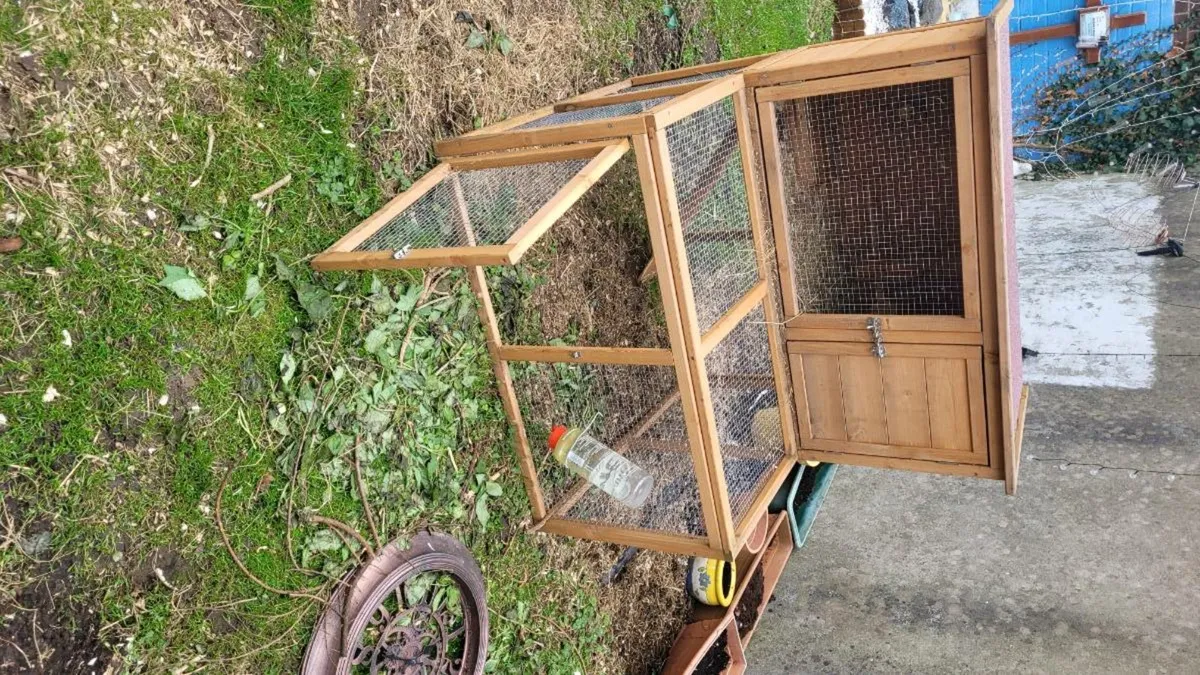3 Rabbit hutch NEED TO GO - Image 3