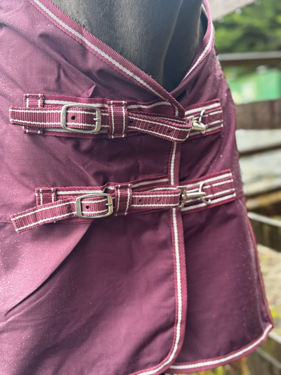 QUALITY TURNOUT RUGS RRP €69’for €29.99 all - Image 3