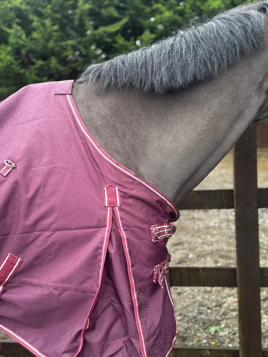 QUALITY TURNOUT RUGS RRP €69’for €29.99 all - Image 4