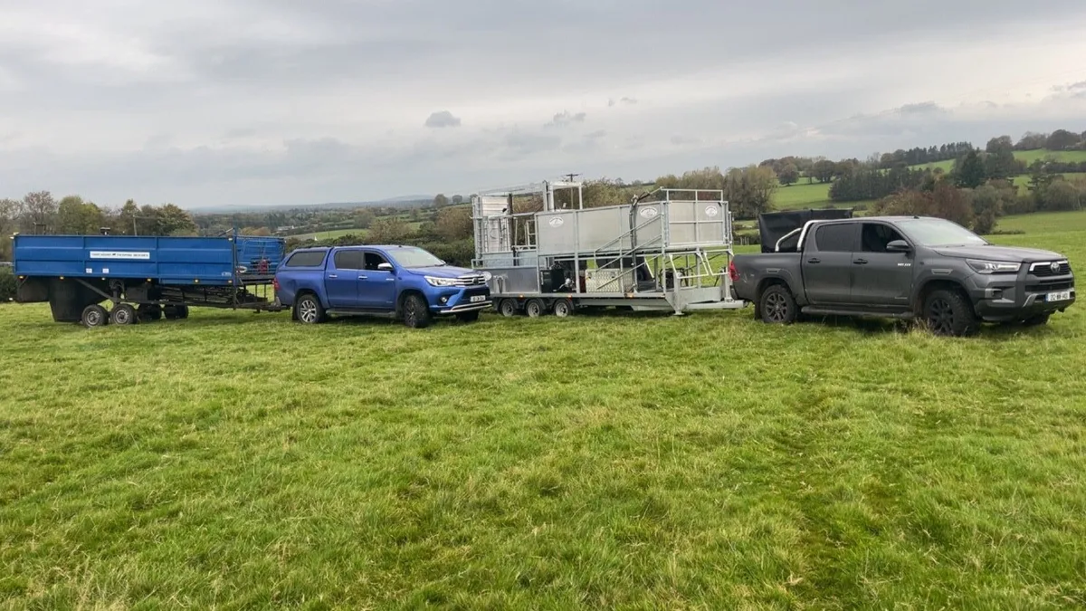 Sheep tub dipping - Image 1