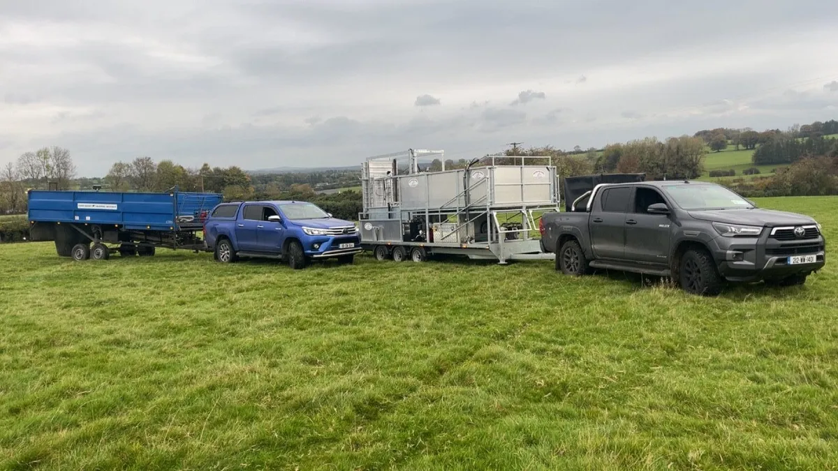 Sheep tub dipping - Image 1