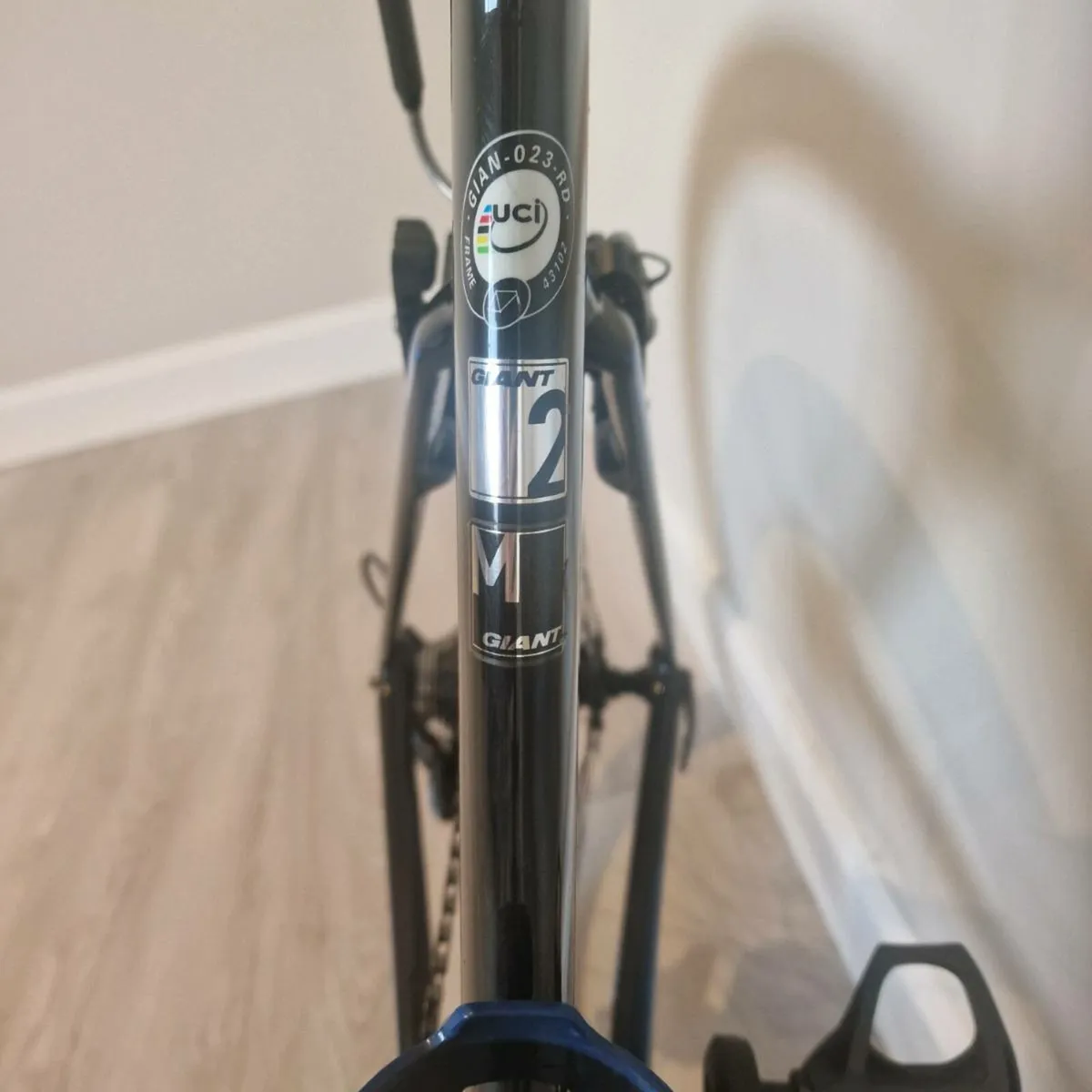 Giant propel - Image 2