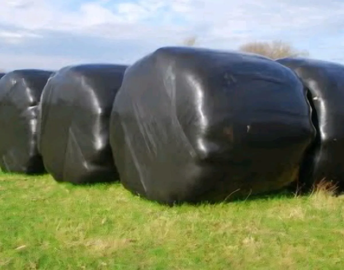 Silage