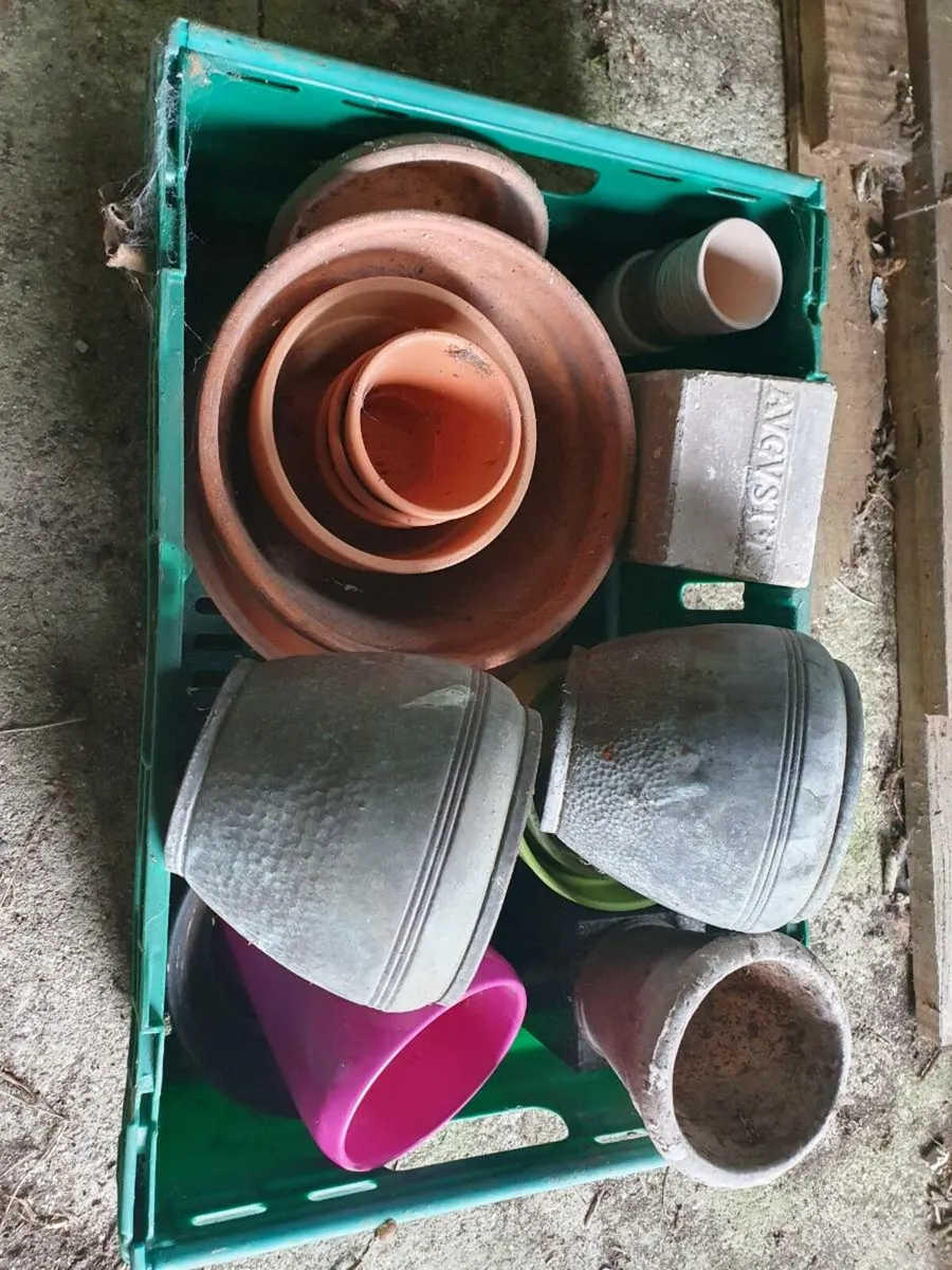 Couch Claasic 70's - Image 3