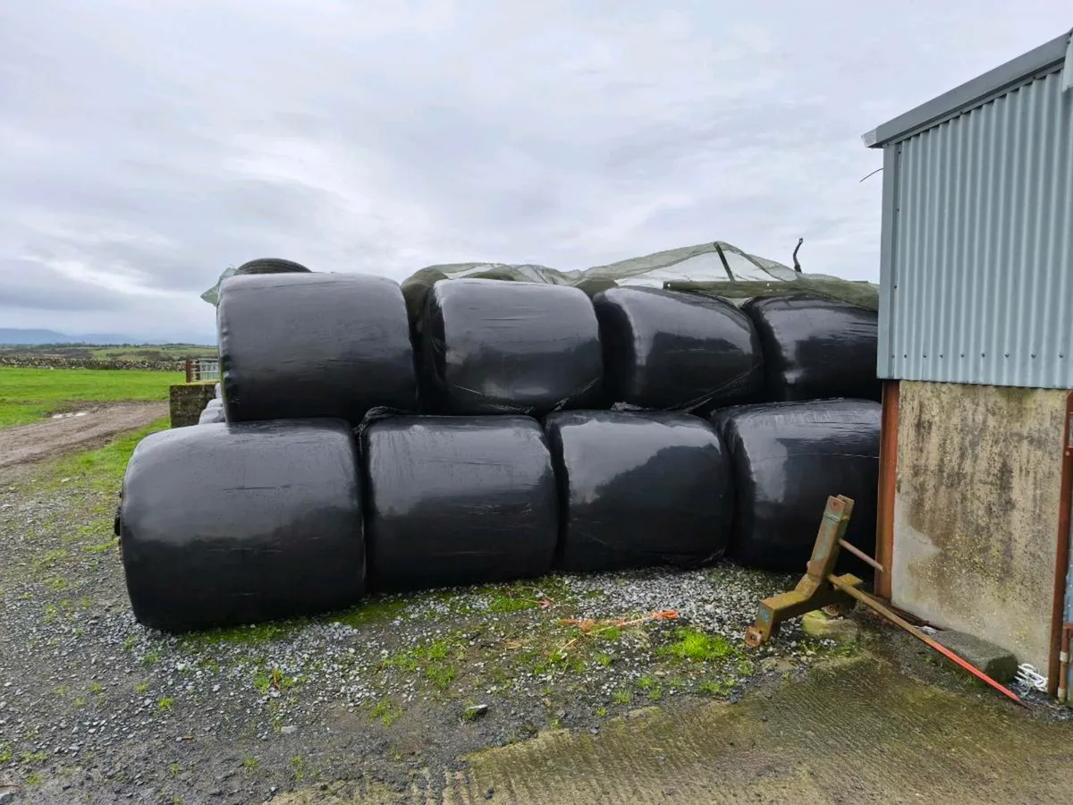 Silage Bales - Image 1