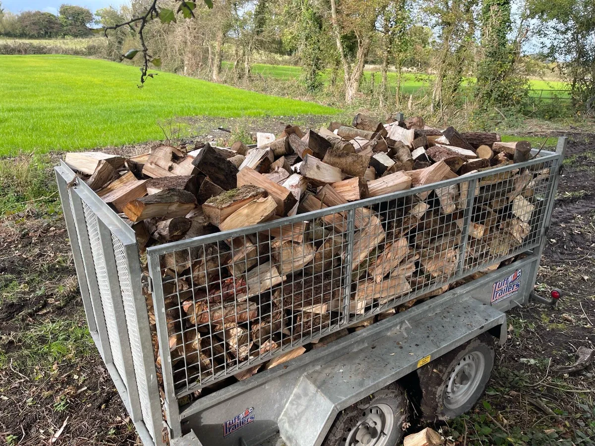 Ash/sycamore firewood - Image 1