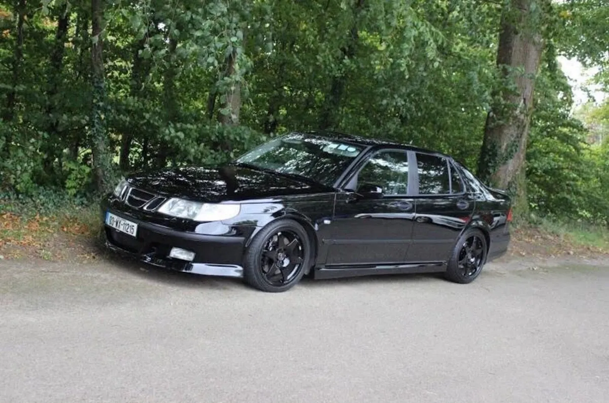 Saab 9-5 Hirsch - Image 1