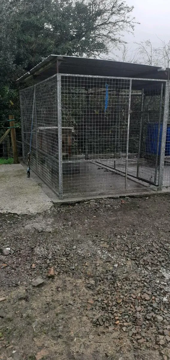 Dog run and dog trailor - Image 4