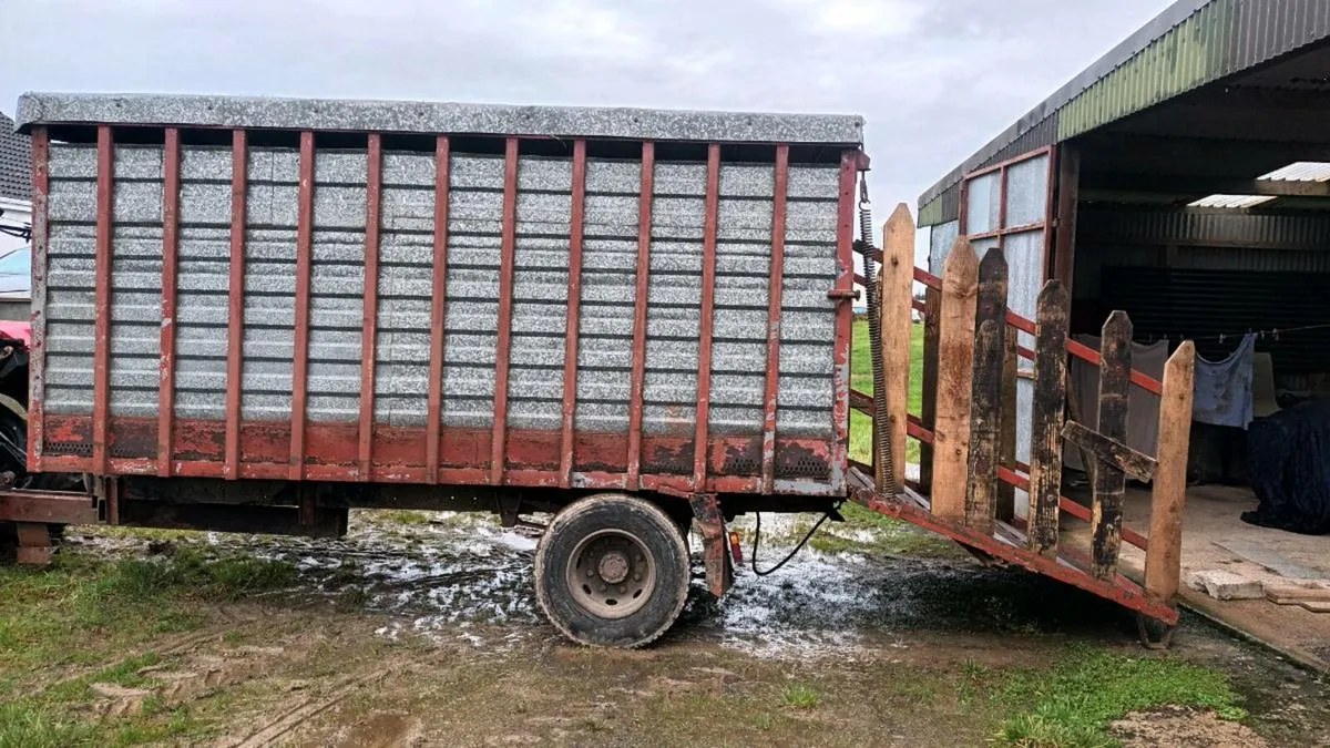 Cattle Trailer - Image 3