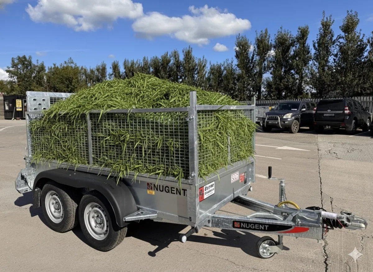 In Stock ✅New Nugent 8’2x4’2 Trailer - Image 1