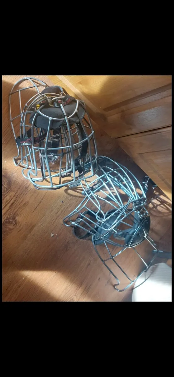 Kilkenny cleere guard - Image 1