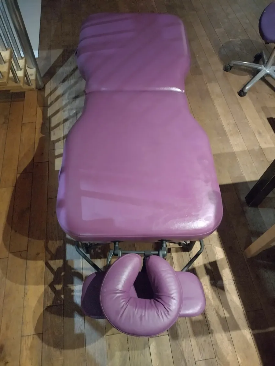Professional Massage Table Oakworks Advanta - Image 2