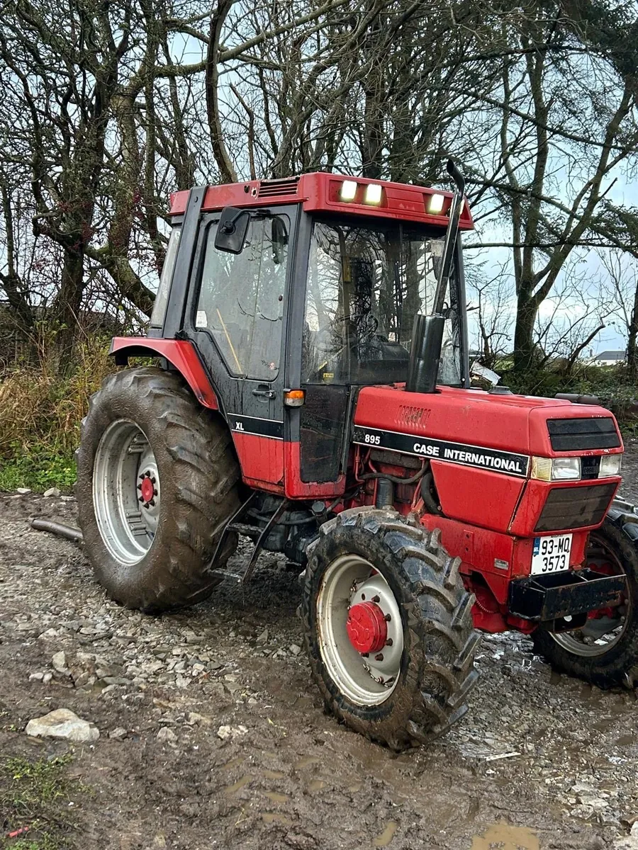Case International 895 - Image 1