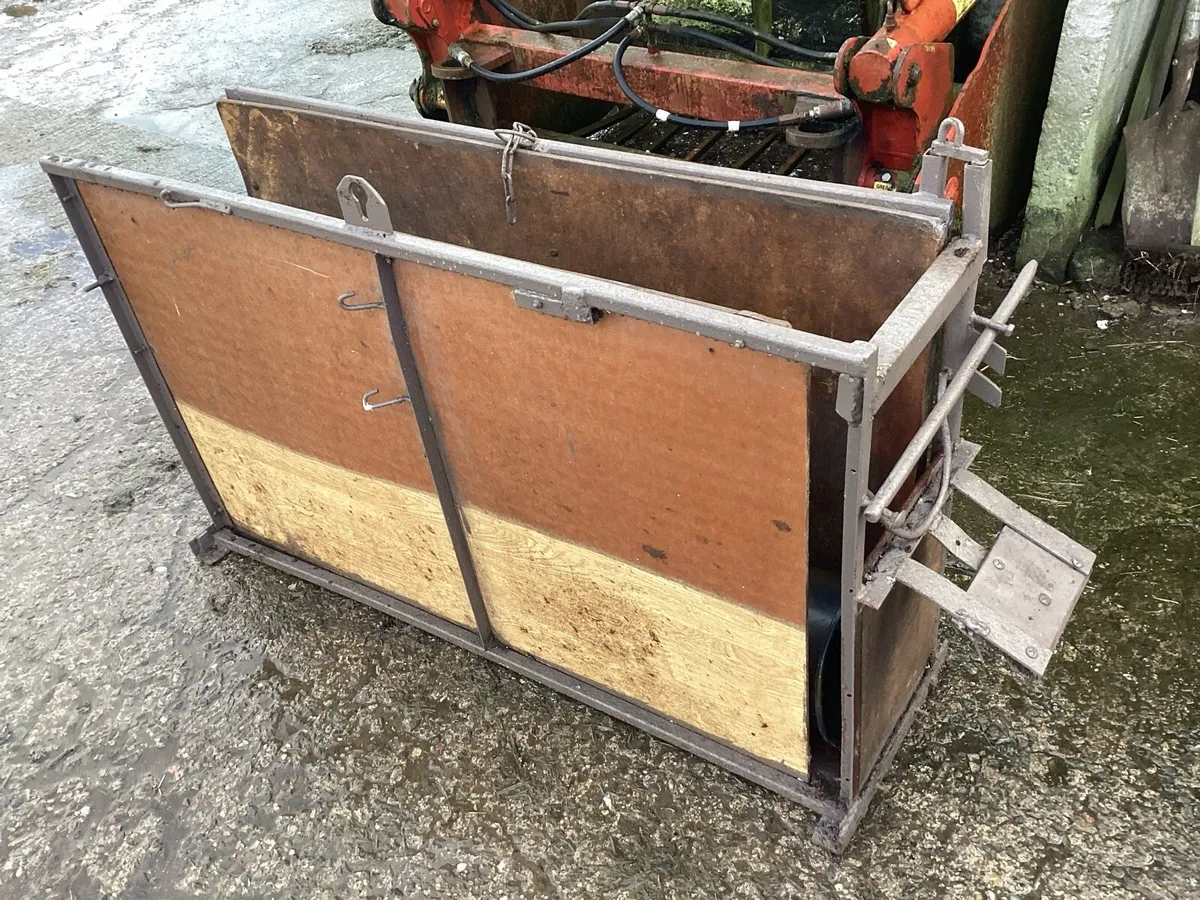 Individual calf pens / dehorning crush - Image 3