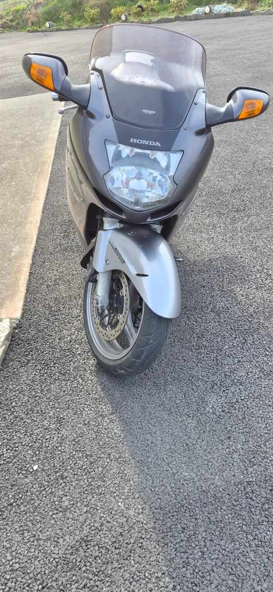 Honda blackbird - Image 2