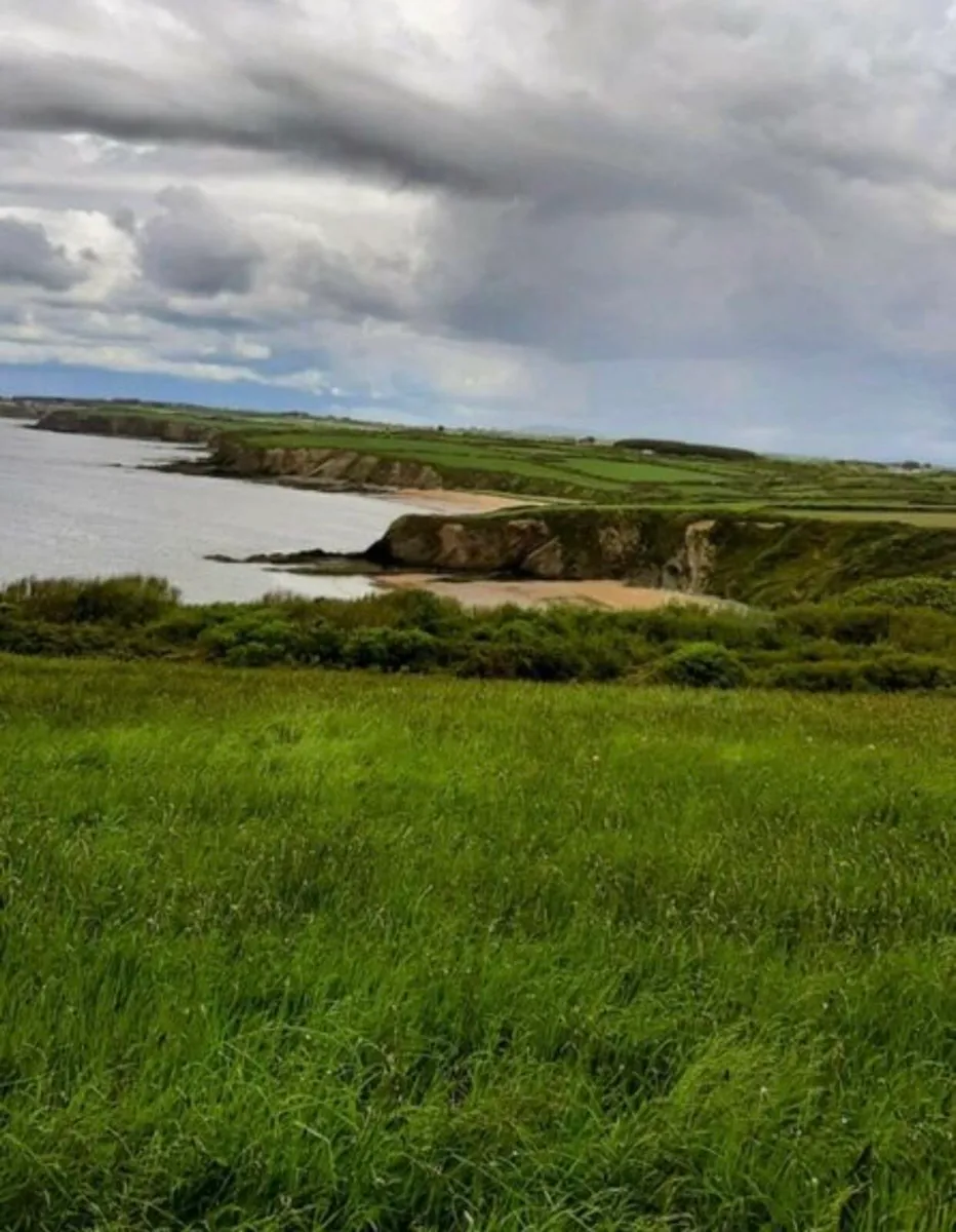 Wexford 3 acres. Private Lane NO ENTRY. - Image 1