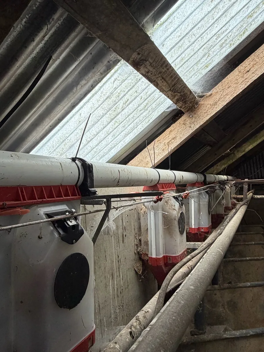 Batch feeders, Milk Tank and Machine - Image 1