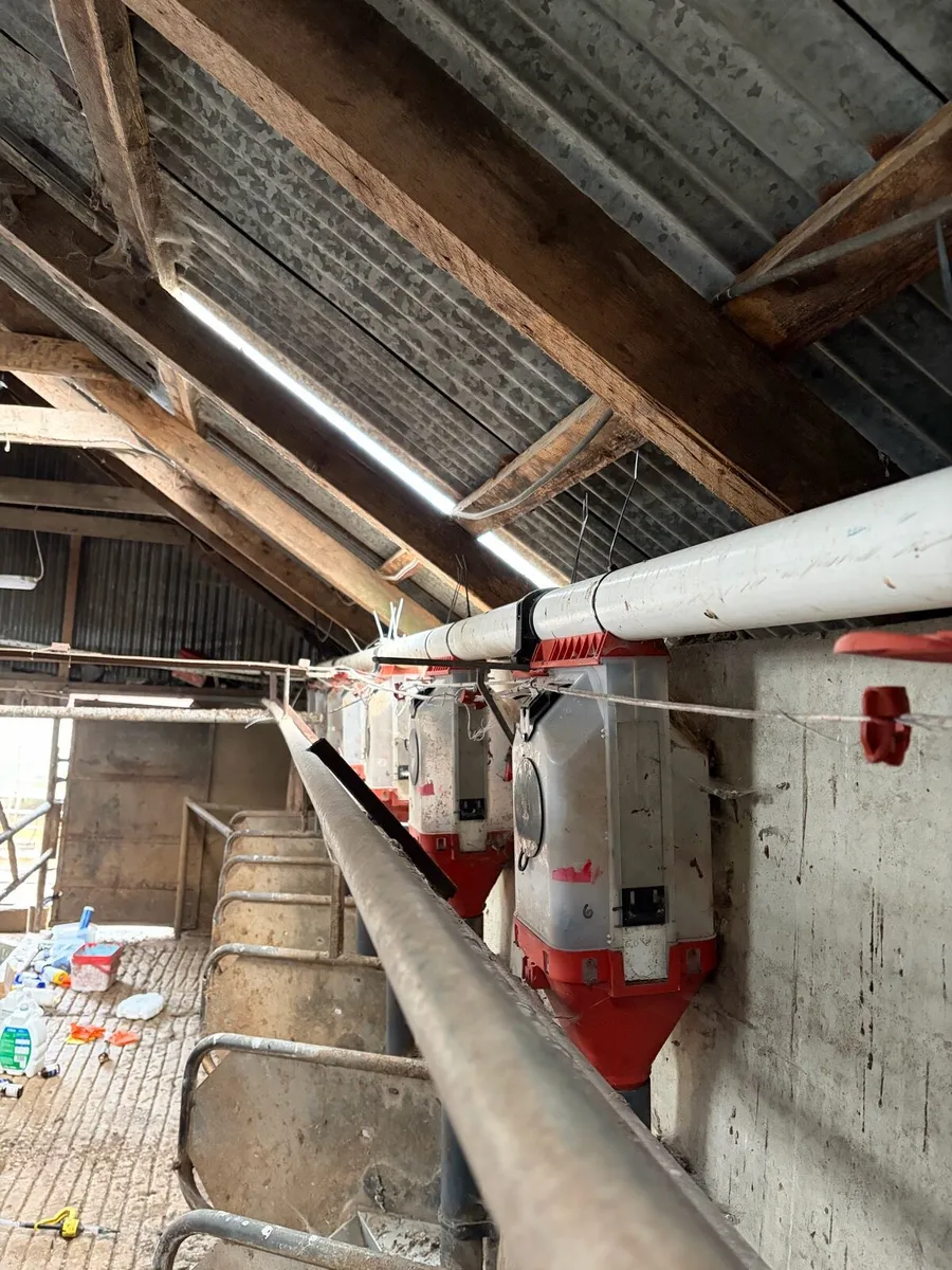 Batch feeders, Milk Tank and Machine - Image 4