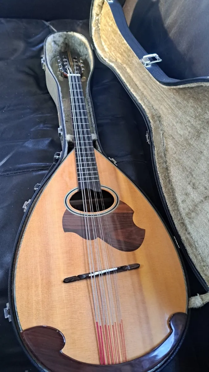 Mandocello and Hoyer Mandolin - Image 2