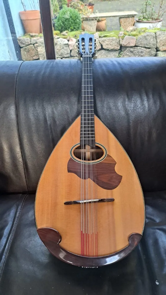 Mandocello and Hoyer Mandolin - Image 1