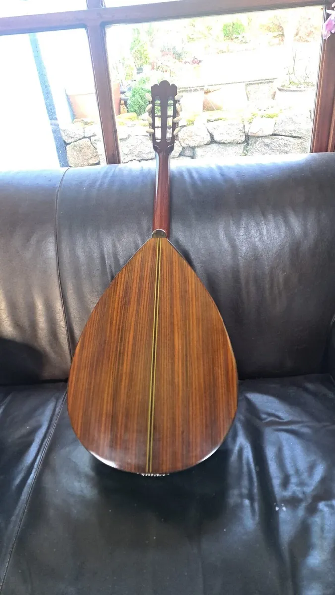Mandocello and Hoyer Mandolin - Image 3