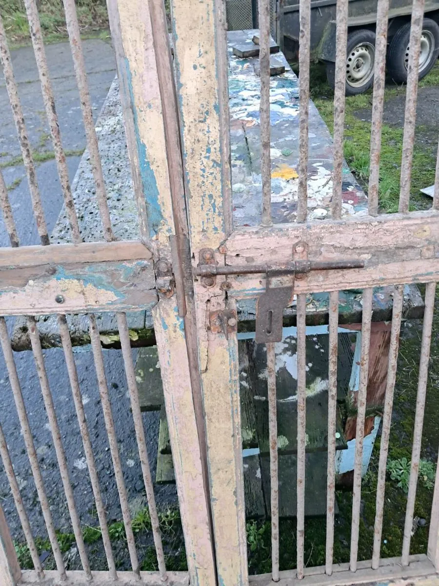 Pair of old iron and wood doors - Image 4