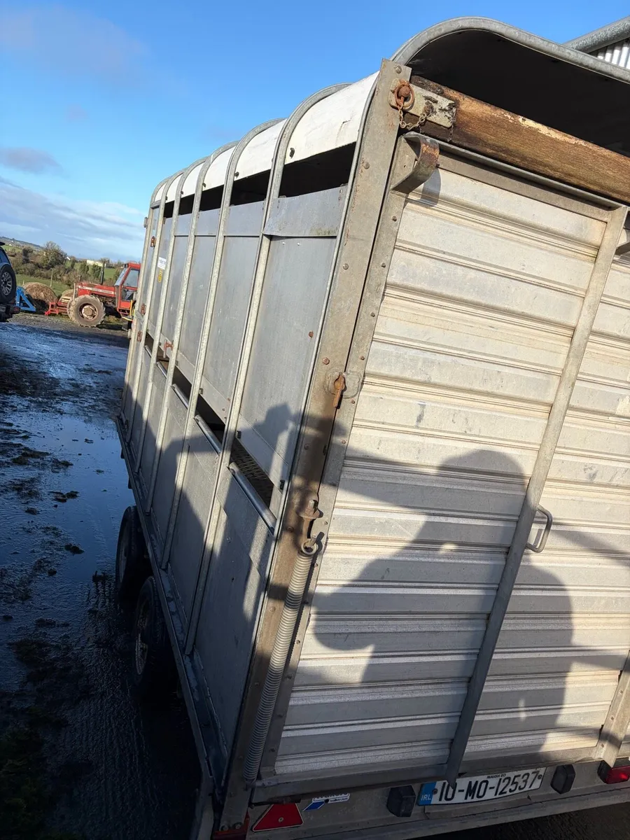 Ifor Williams 12x6,6 - Image 2