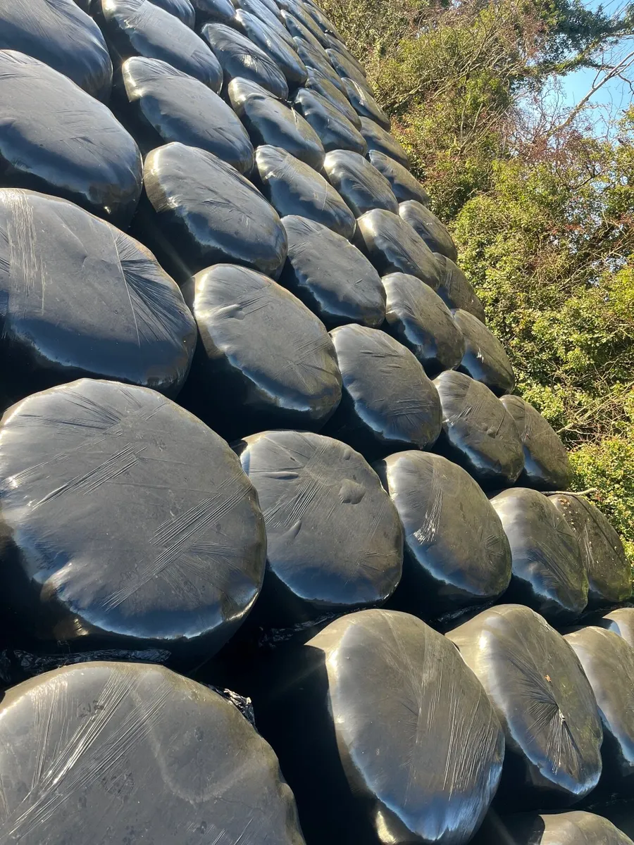 Top quality Silage bales