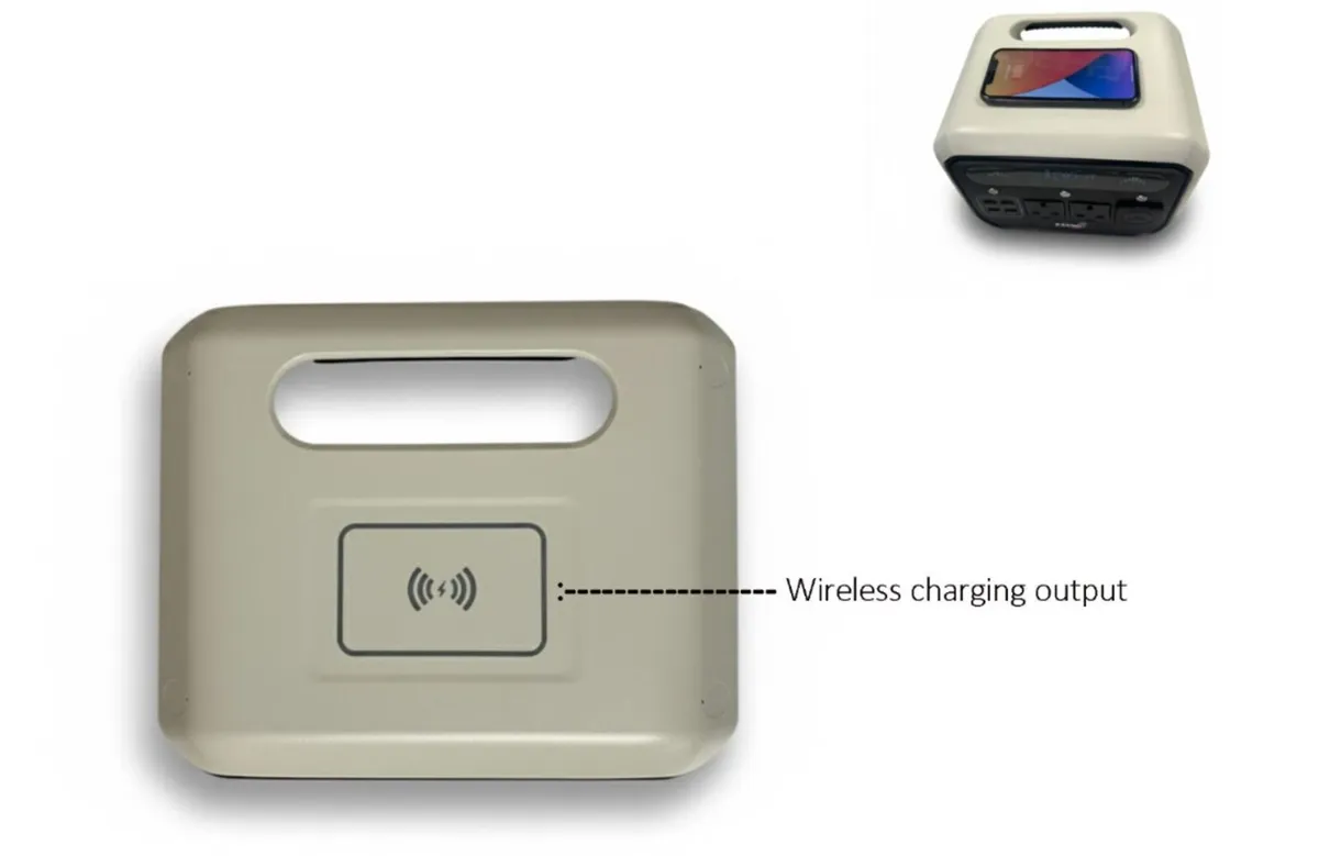 Pacini Portable Power Station outlets,700W - Image 4