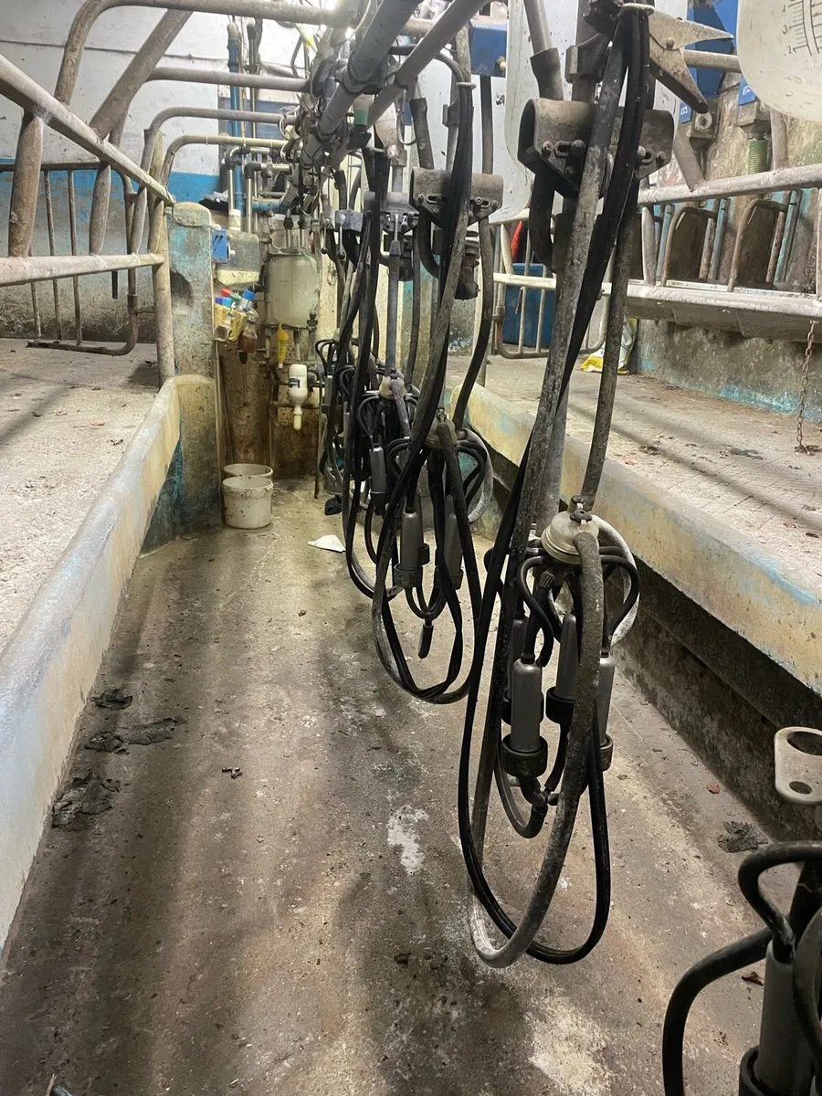 Milking parlour - Image 1