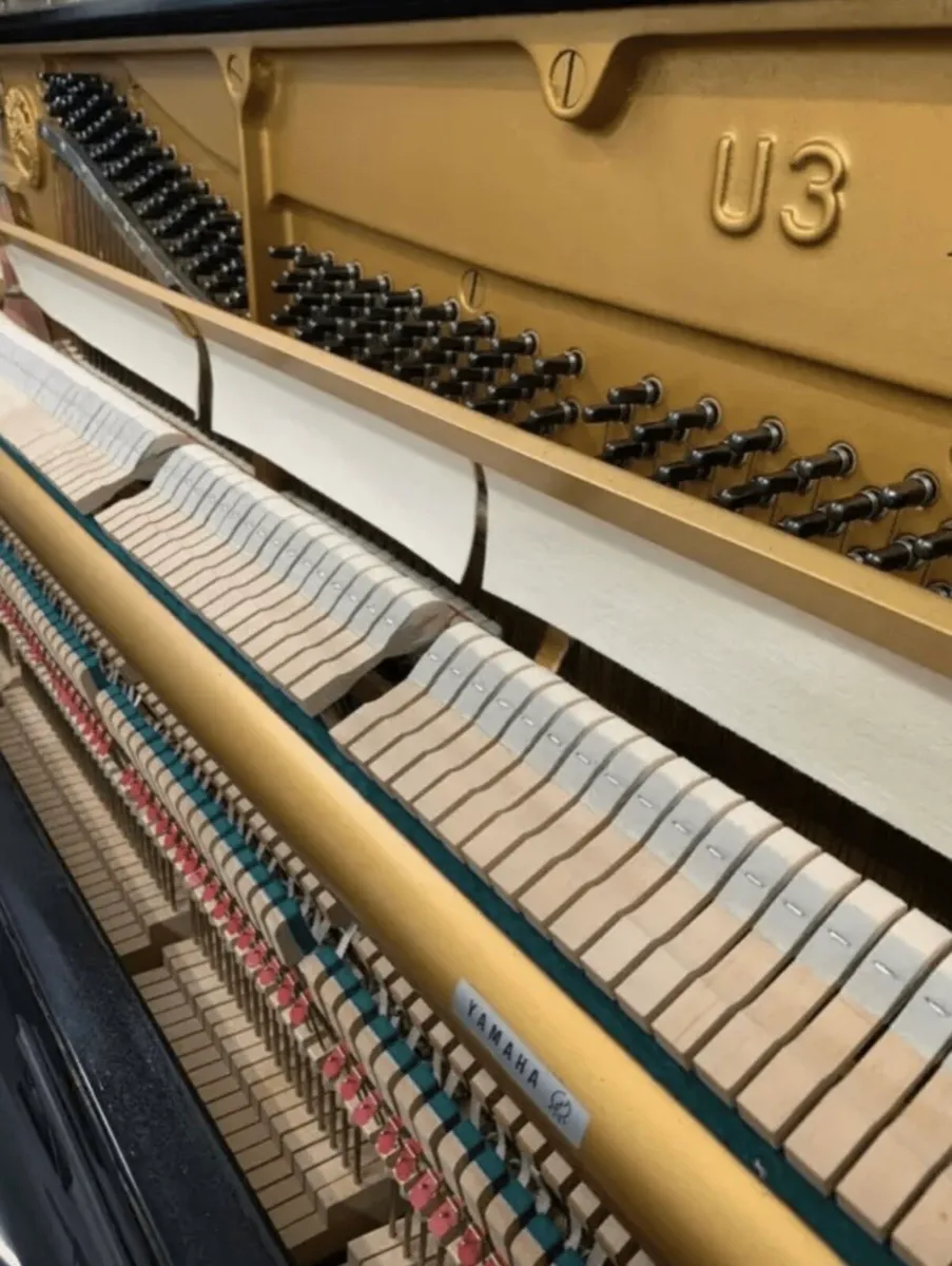 Yamaha U3 black reconditioned Belfast pianos - Image 3