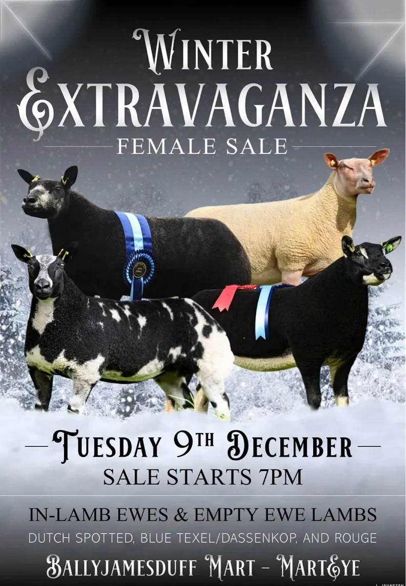 Winter extravaganza Female sale