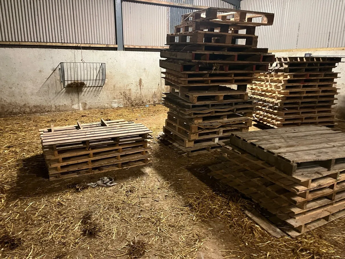 Timber pallets - Image 2