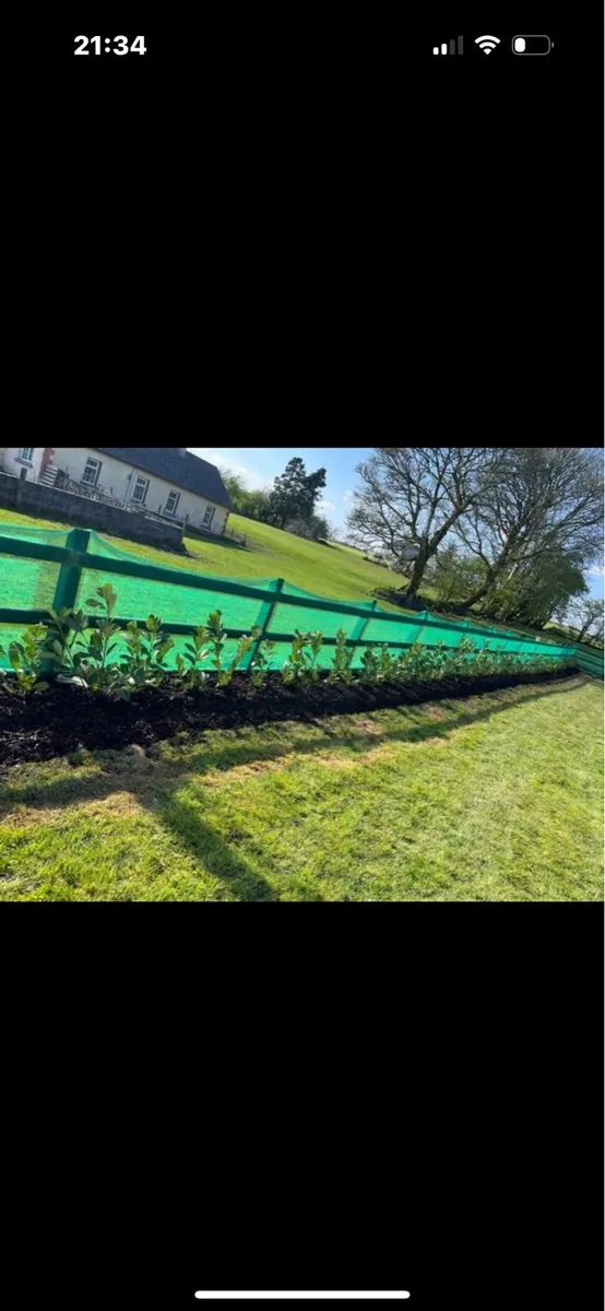 Hedging planting service - Image 1