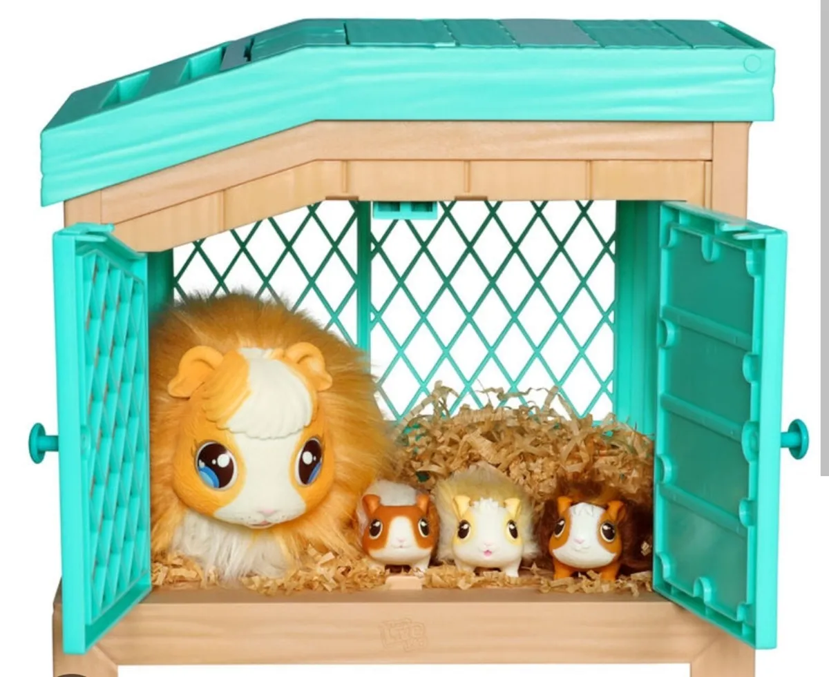 Little live pets Guinea Pigs - Image 1