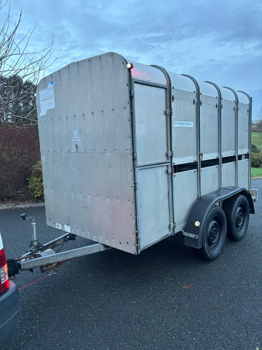 10x5 ifor Williams cattle box - Image 1