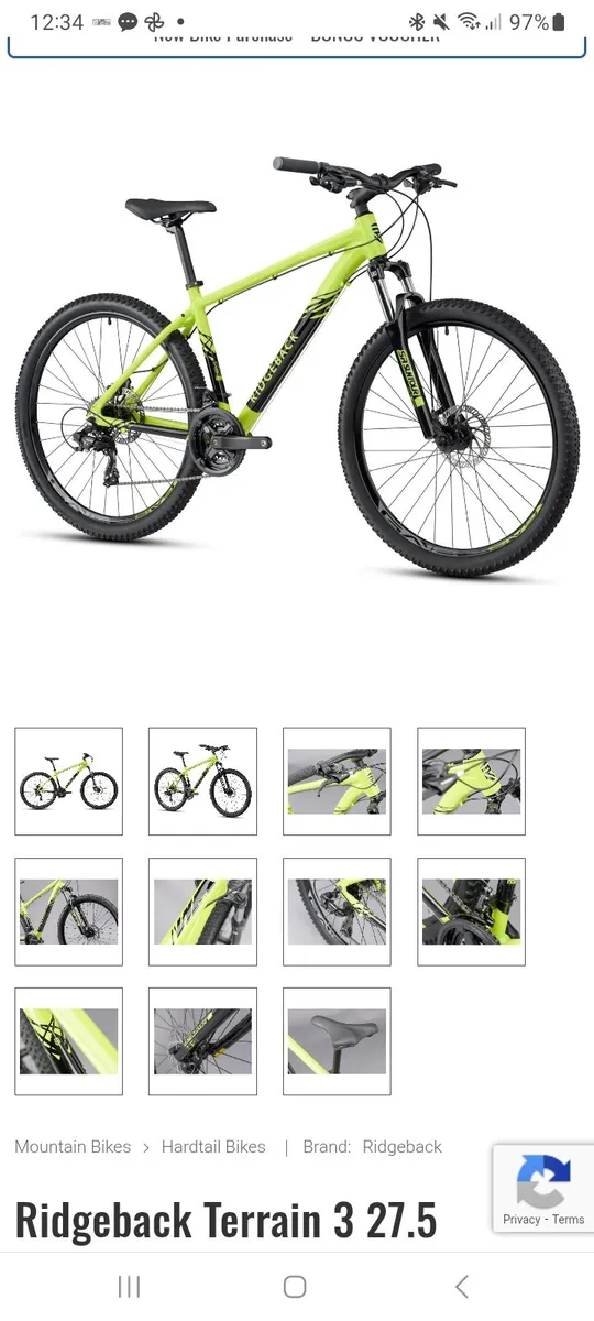 Adult Bike - Image 1