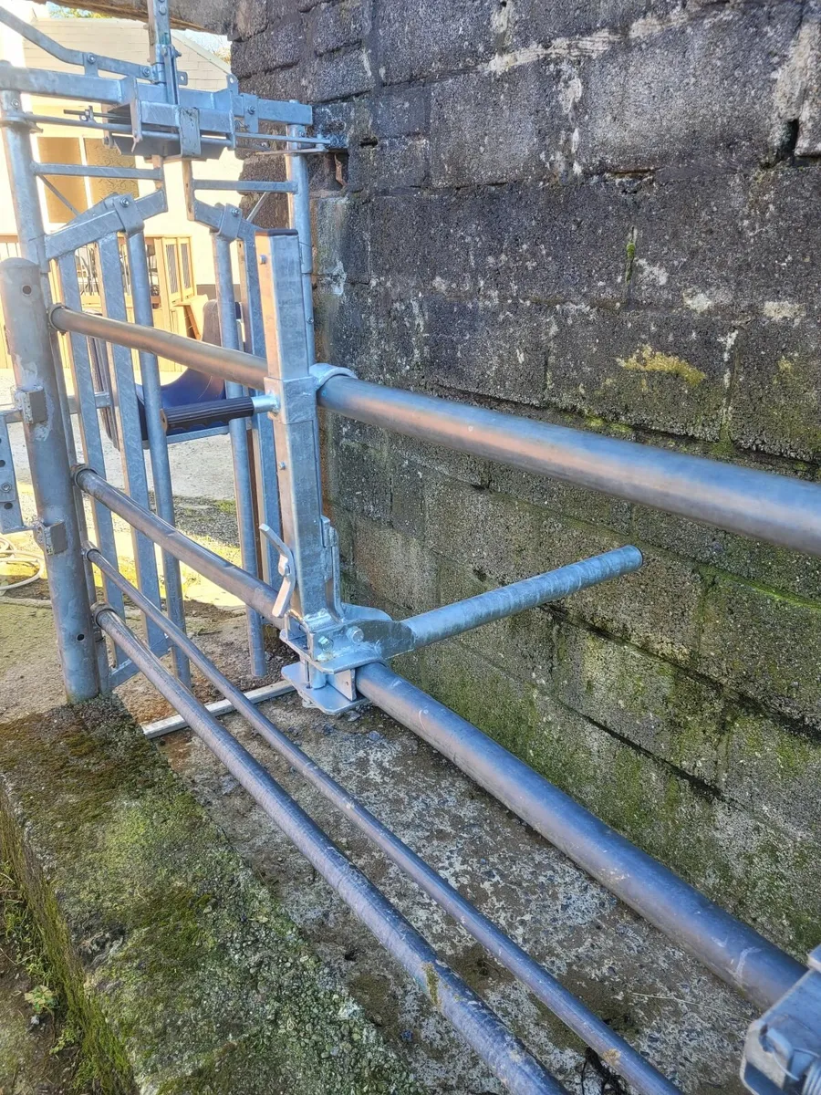 Cattle crush gate, head scoop, anti- backing bar - Image 4