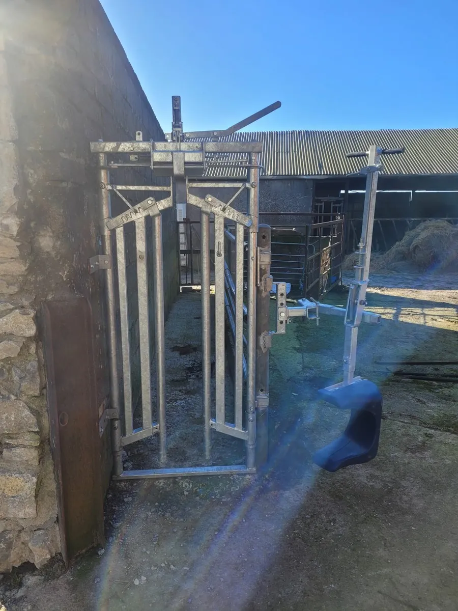 Cattle crush gate, head scoop, anti- backing bar - Image 2