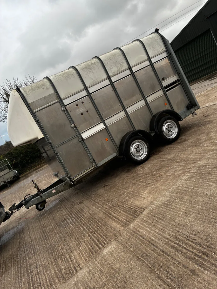 12ft ifor Williams high roof livestock trailer - Image 2
