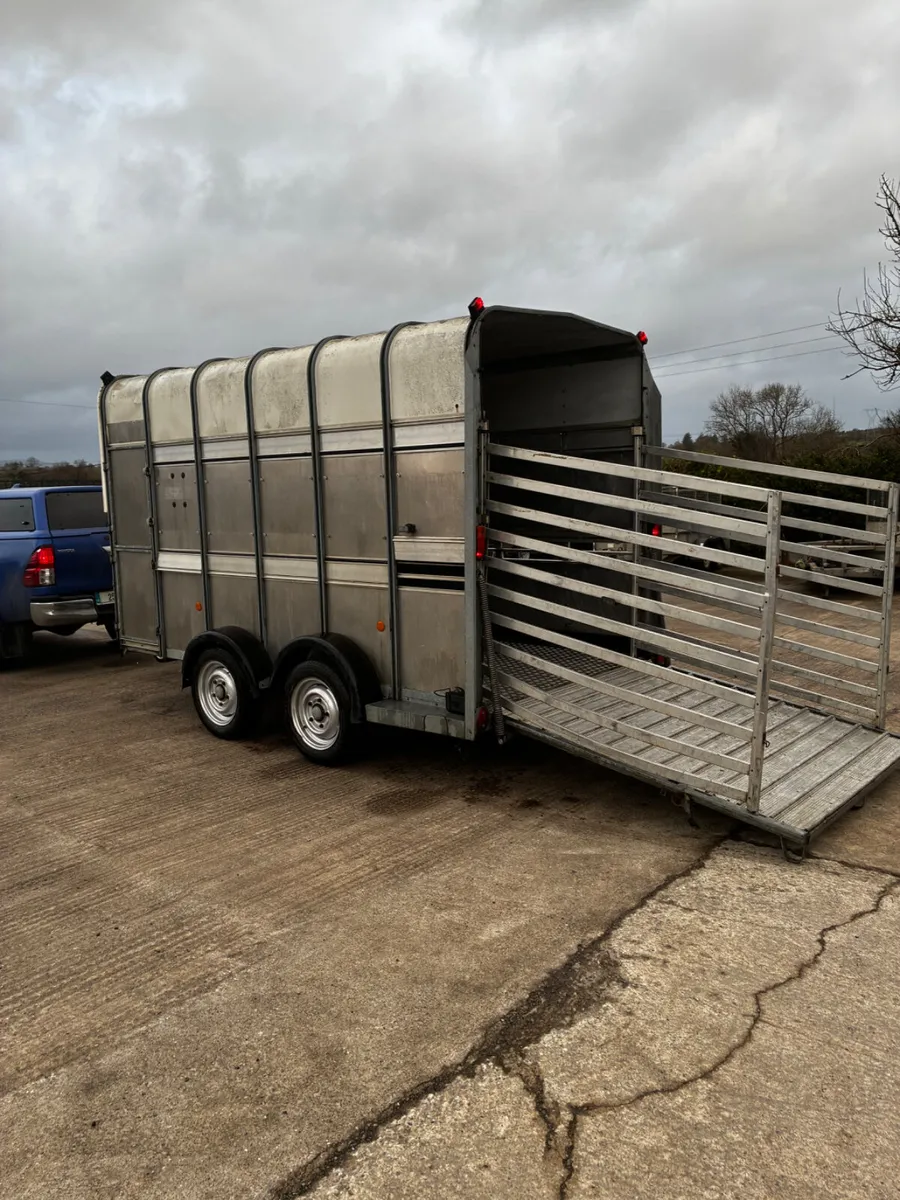 12ft ifor Williams high roof livestock trailer - Image 4