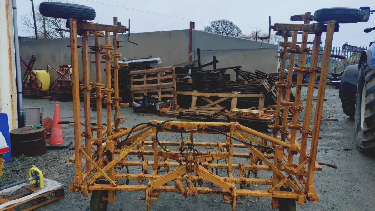 Tine Harrow - Image 1