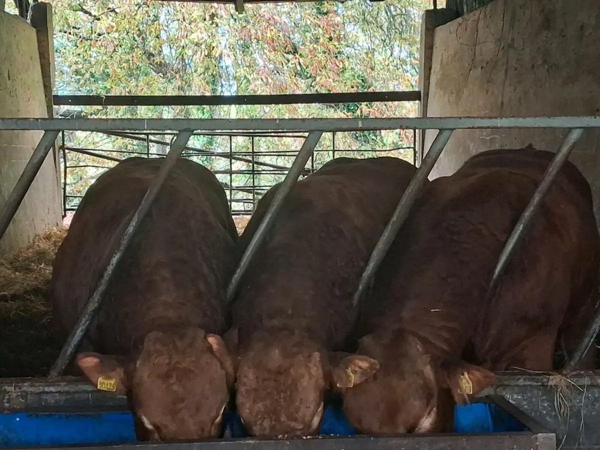 Land and Farmyard Wanted