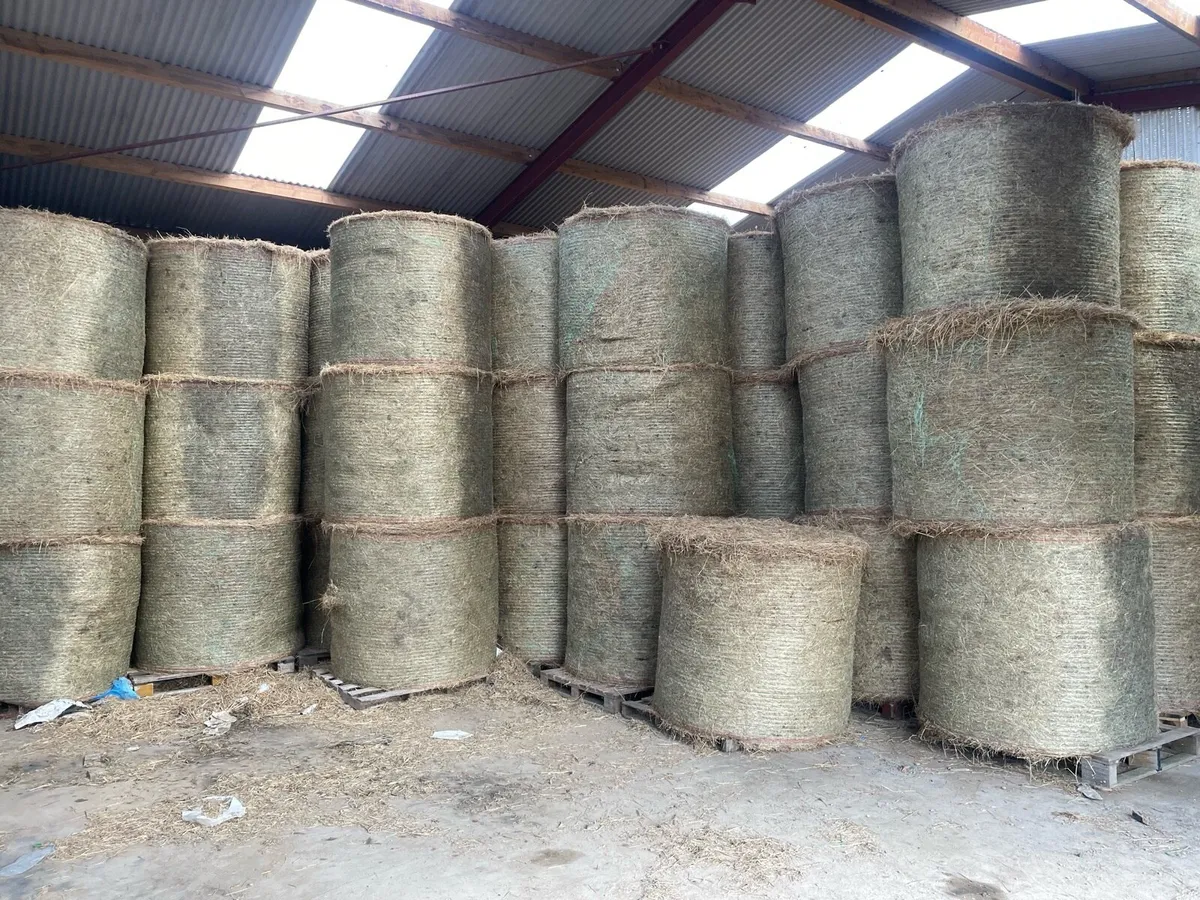 Round bales Hay June 2025 - Image 4