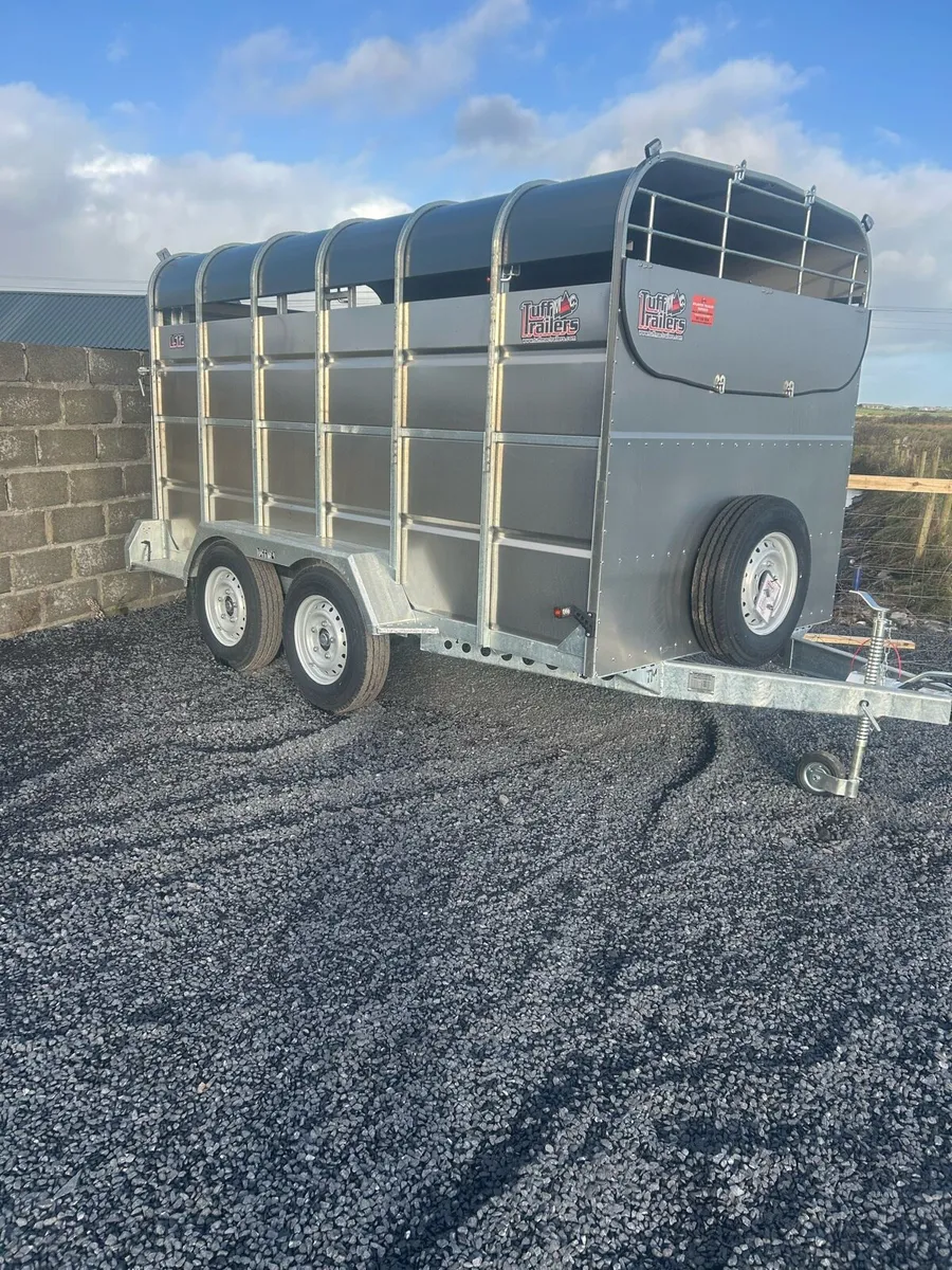New 12ft Tuff Mac Cattle Trailer - Image 2