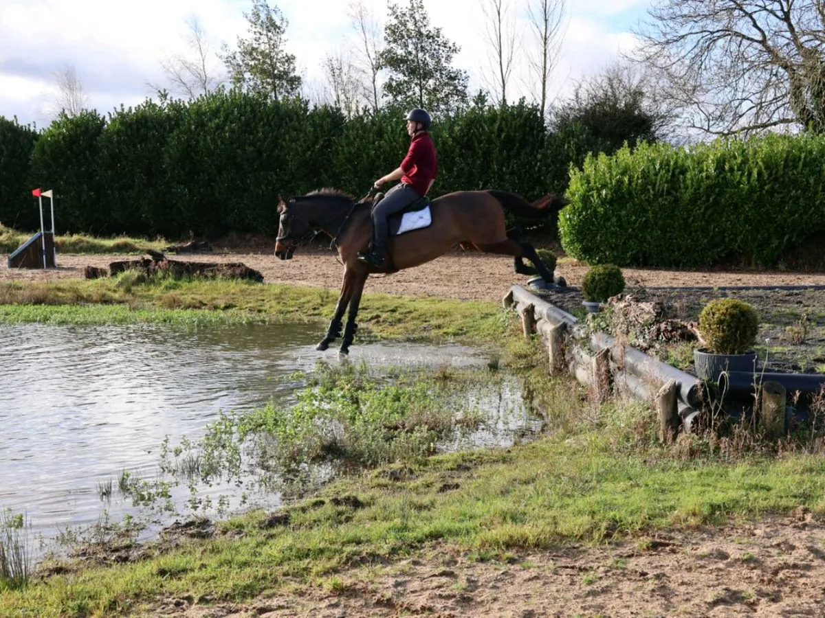 LOVELY ALLROUNDER/HUNTER - Image 4